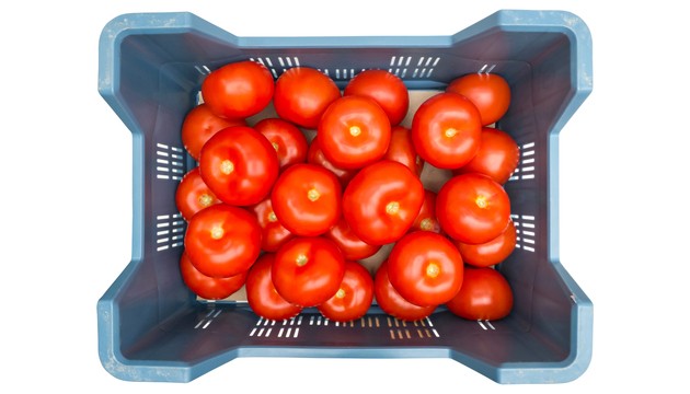 Idoneità al contatto con gli alimenti